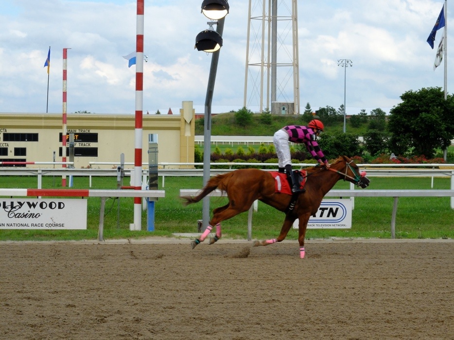 20130707-215013.jpg